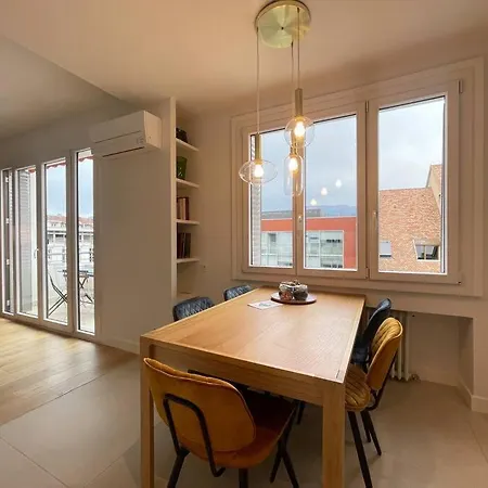 Lachenal, Centre, Balcon Avec Vue Chateau Annecy