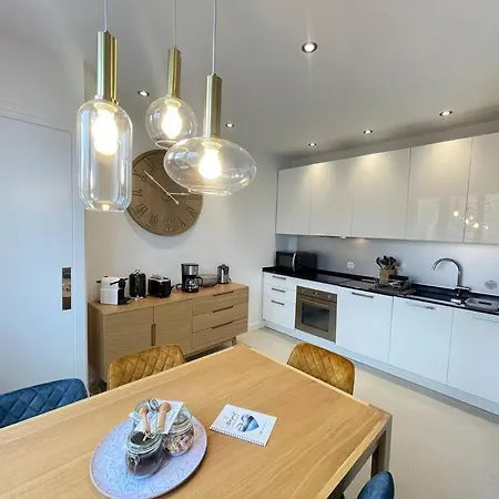 Апартаменты Lachenal, Centre, Balcon Avec Vue Chateau Анси